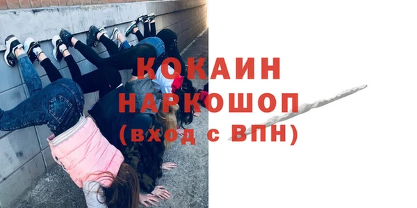 гидра Богородицк