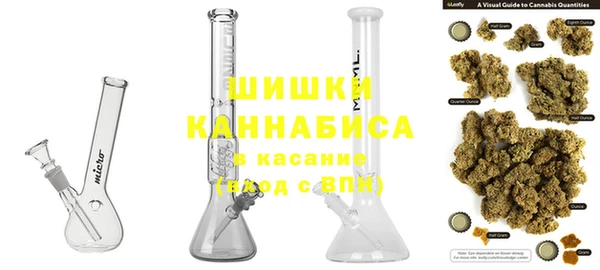 молекула духа Богданович