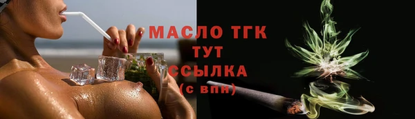 гидра Богородицк