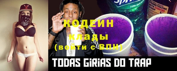 гидра Богородицк