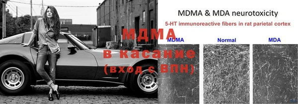 молекула духа Богданович