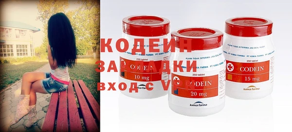 молекула духа Богданович